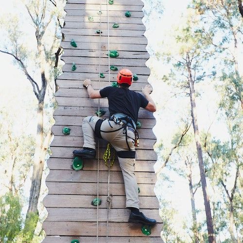 Forest Adventures Park Entry