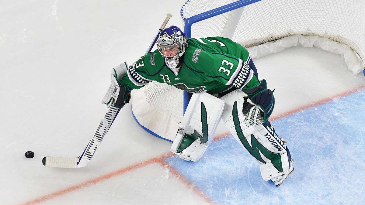 Greenville Swamp Rabbits vs. Florida Everblades