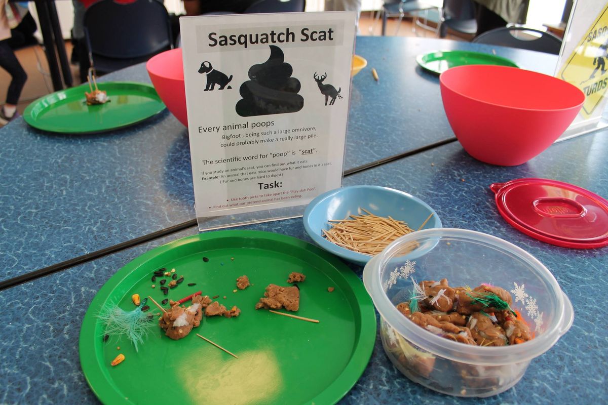 Sasquatch Search Expedition Drop-Off Day Camp 