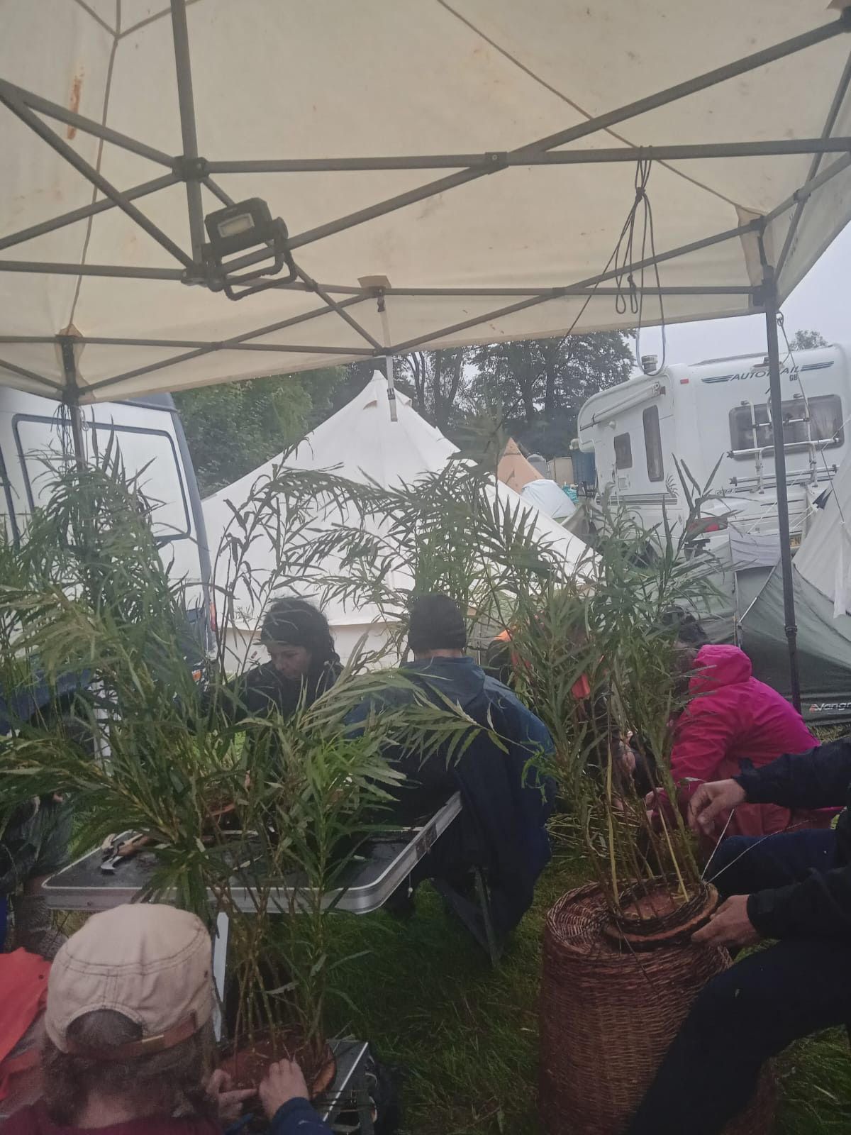 Hedgerow Basket Making Workshop