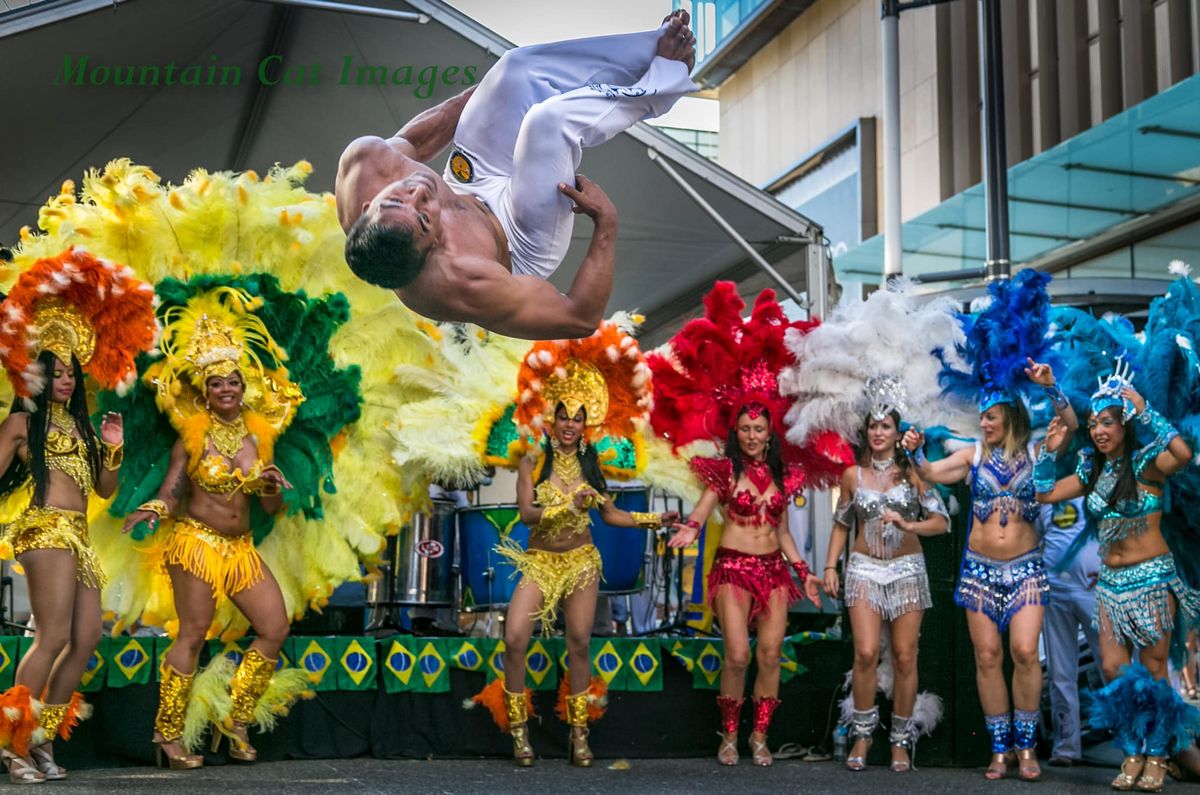 Ax\u00e9 Capoeira Performance - Kerrisdale