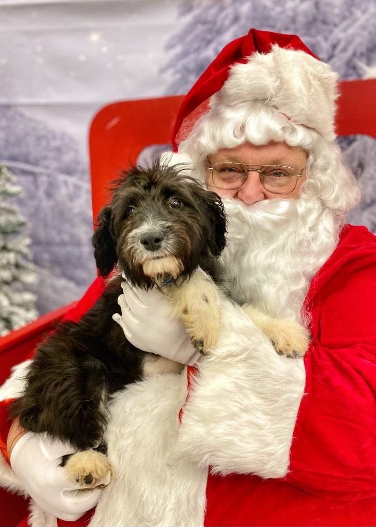 Santa at BarK