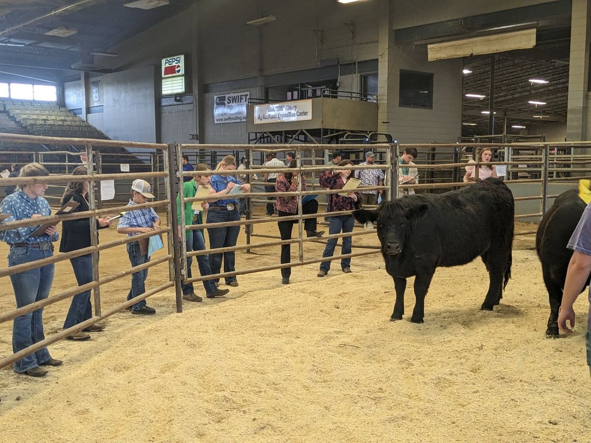 Shoes Up Classic 4-H and FFA Livestock Judging Contest