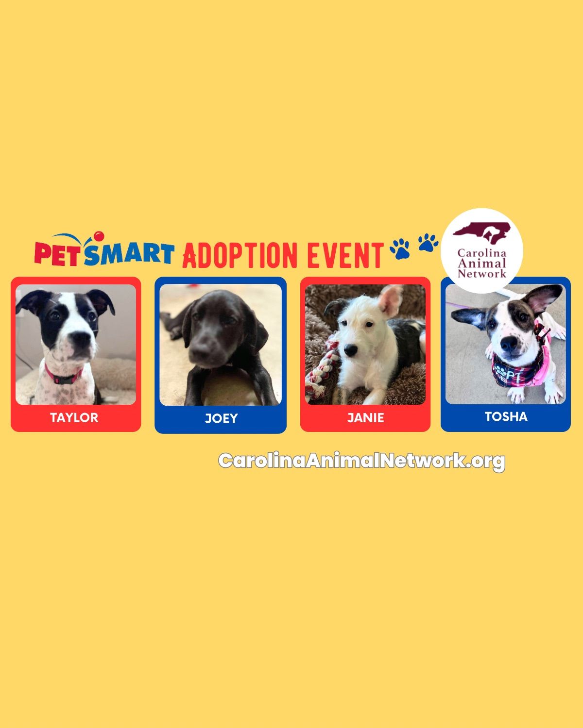 Dog Adoption Event @ Knightdale Petsmart