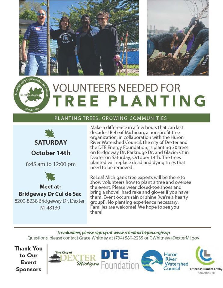 Tree Planting in Dexter, Bridgeway Dr Cul de Sac 8200-8238 Bridgeway Dr ...