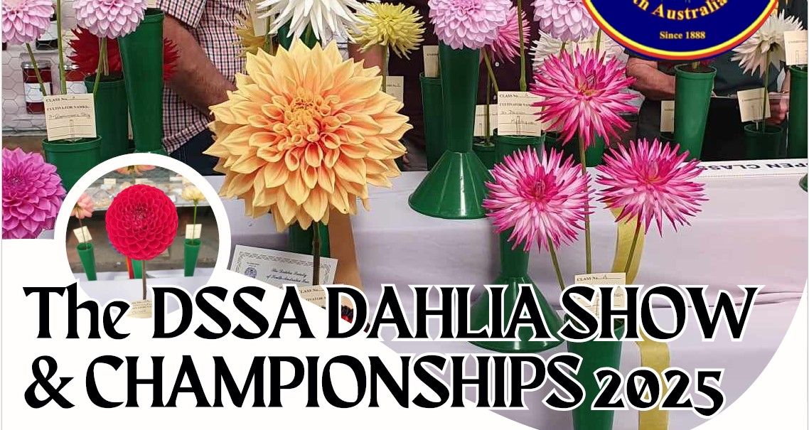 DSSA Dahlia Show & Championships 2025 