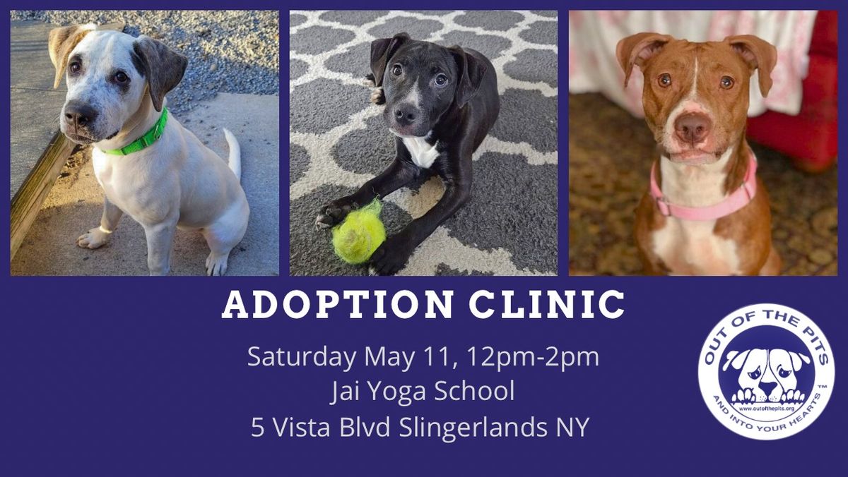 OOTP Adoption Clinic