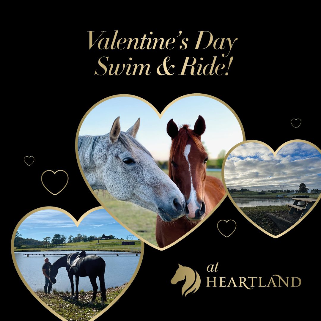 Valentine's Day Swim & Ride