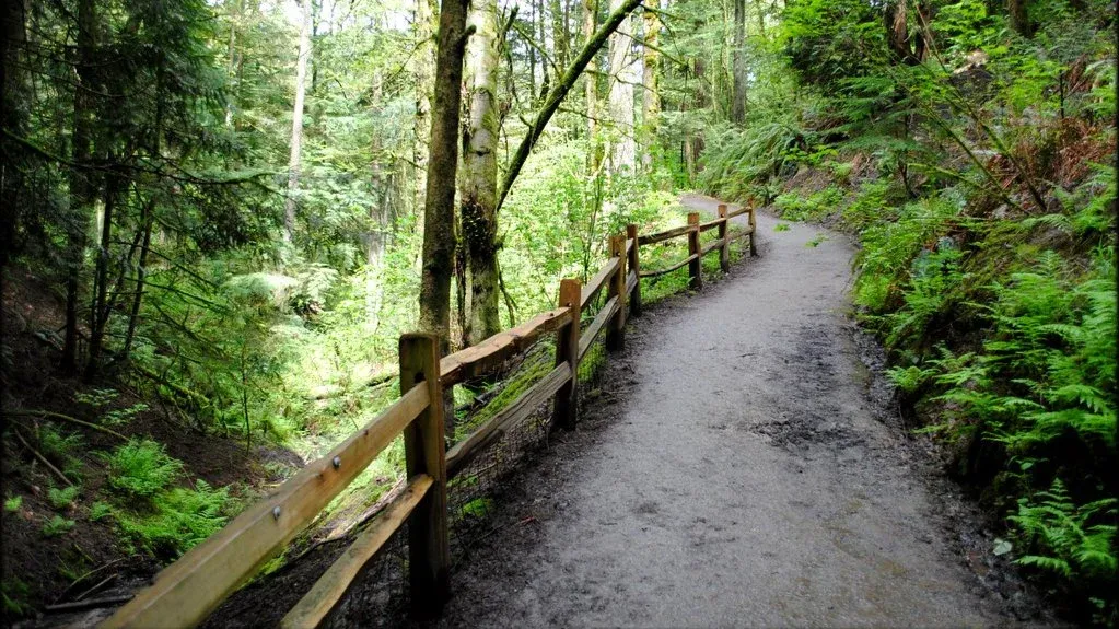 Advance Hikers' Hike: Entire Wildwood Trail