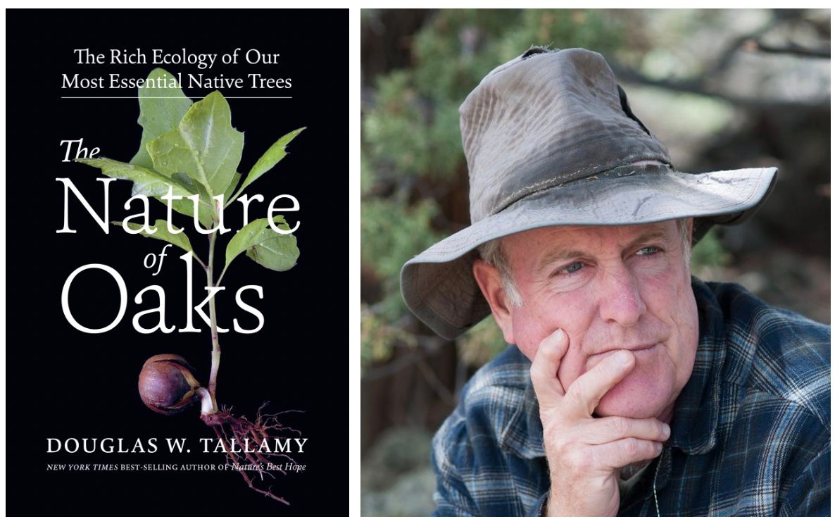 Dr. Doug Tallamy "The Nature of Oaks"  2024 Cary Environmental Symposium 