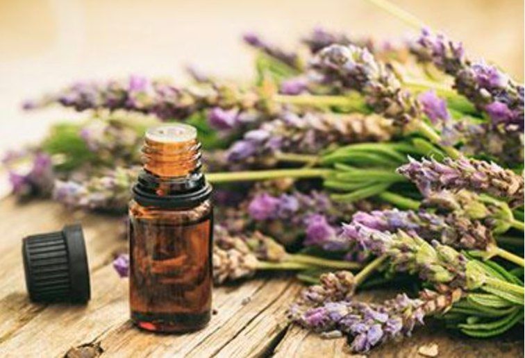 Unlock the Power of Aromatherapy