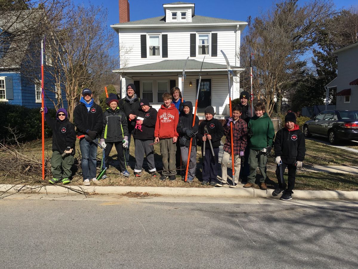 Street Tree Pruning Workshop