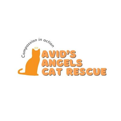 Avid's Angels Cat Rescue