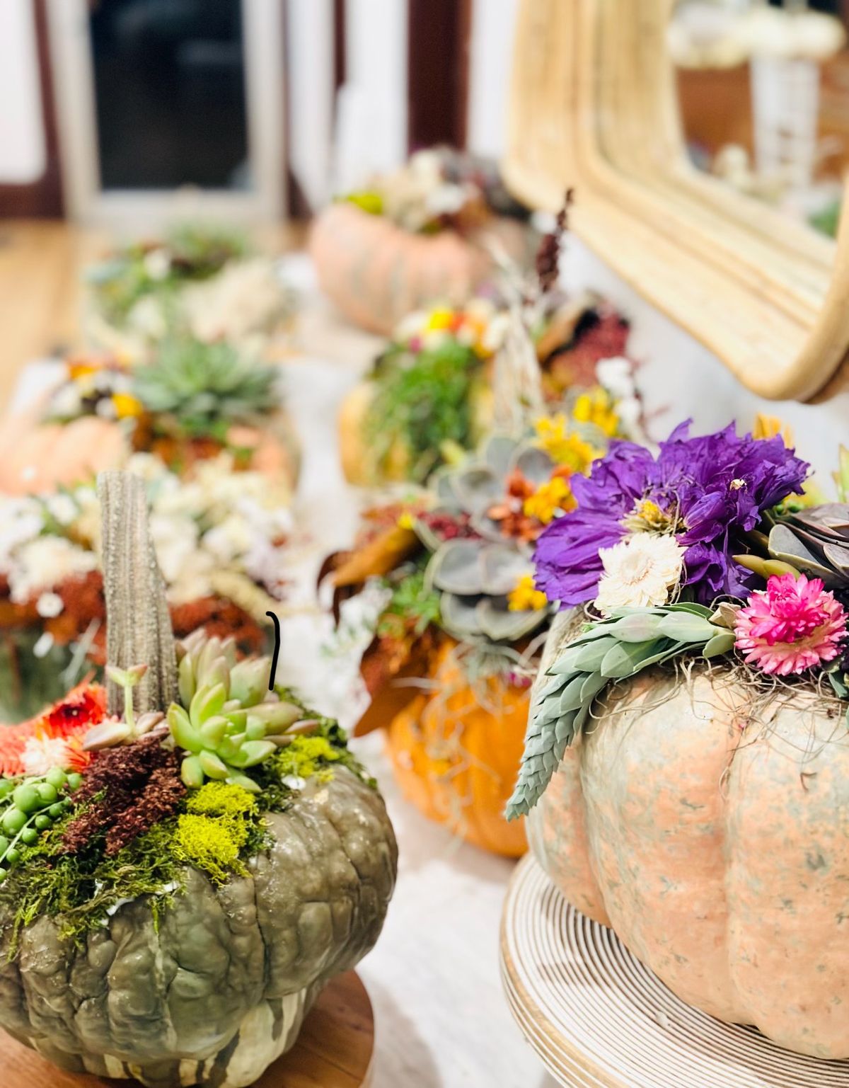 Succulent Pumpkin Crafting Class