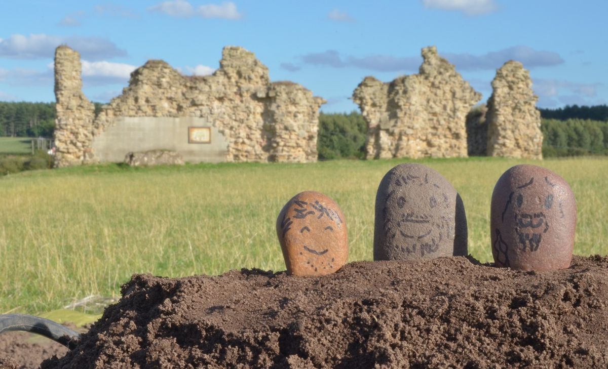 Archaeological Experience Digging Day