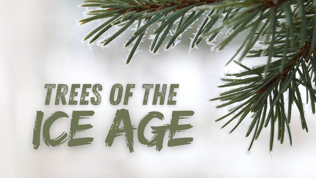 Trees of the Ice Age