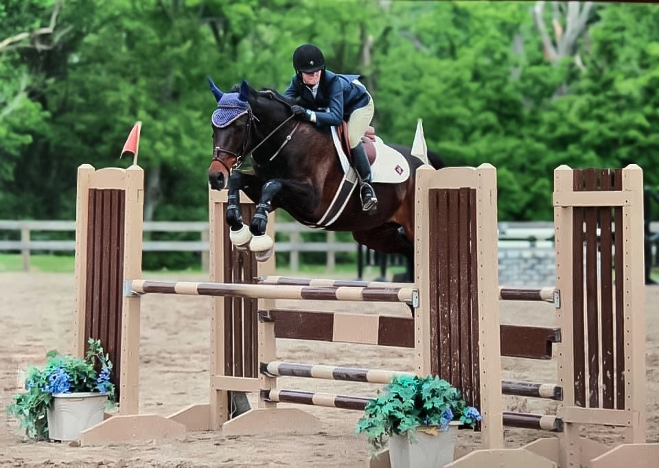 Hunter\/Jumper clinic with Laura Baginski-Slates