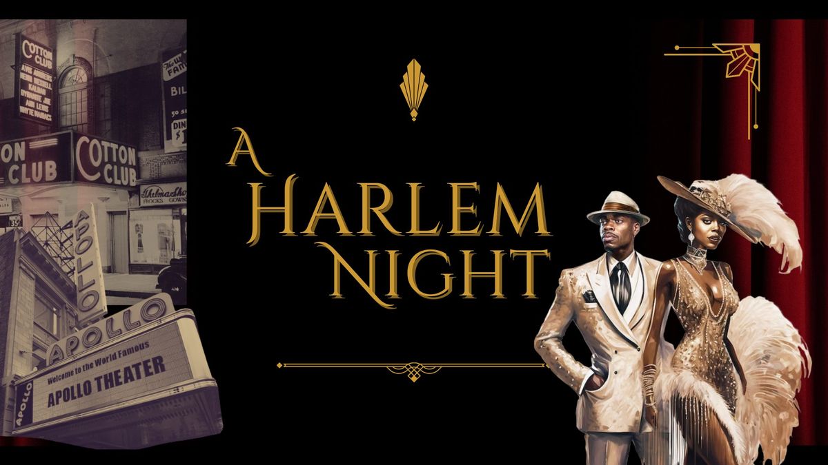A Harlem Night