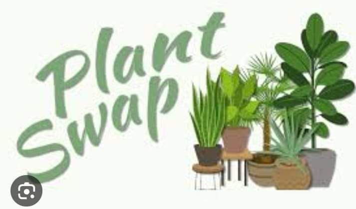 Hamilton South Caddo Library Plant Swap