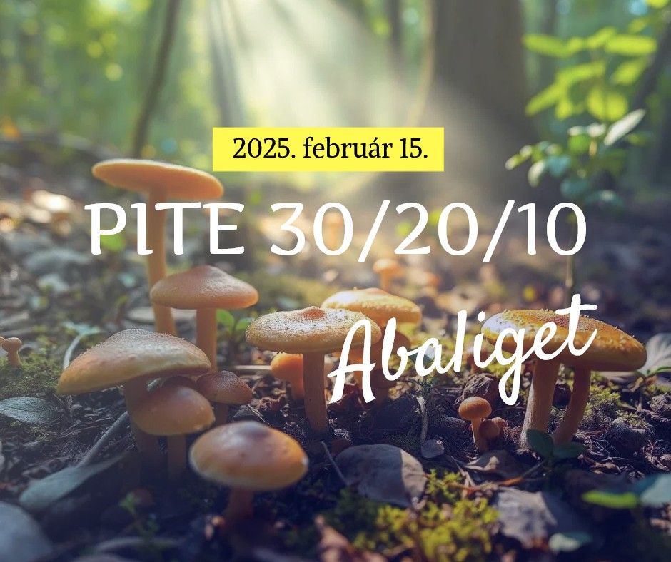 2025 PITE