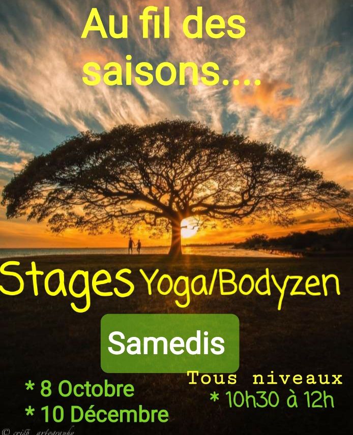 STAGE YOGA \/ BODY ZEN                                                        Pratique et d\u00e9couverte 