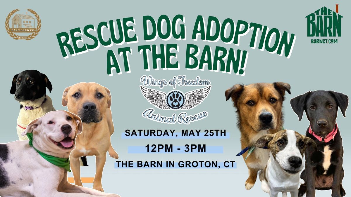 Rescue Dog Adoption at Barn CT!