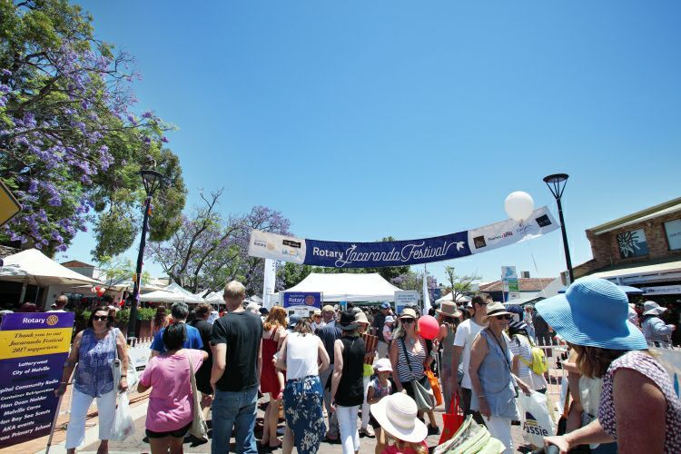 2024 Applecross Rotary Jacaranda Festival