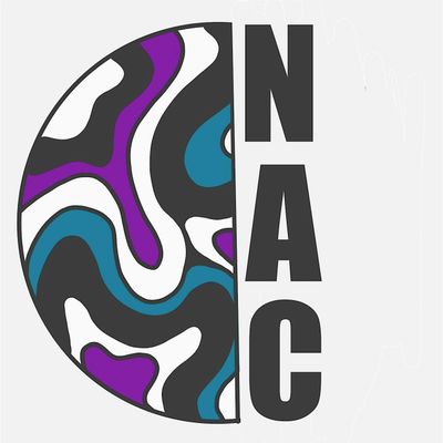 Nirvanas arts collective CIC