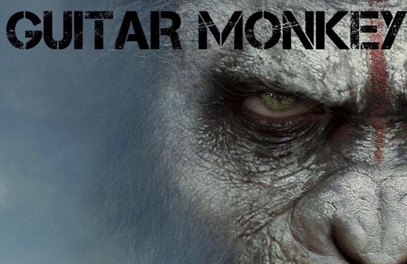 guitar monkey 