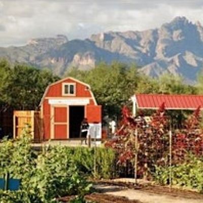 Tucson Village Farm