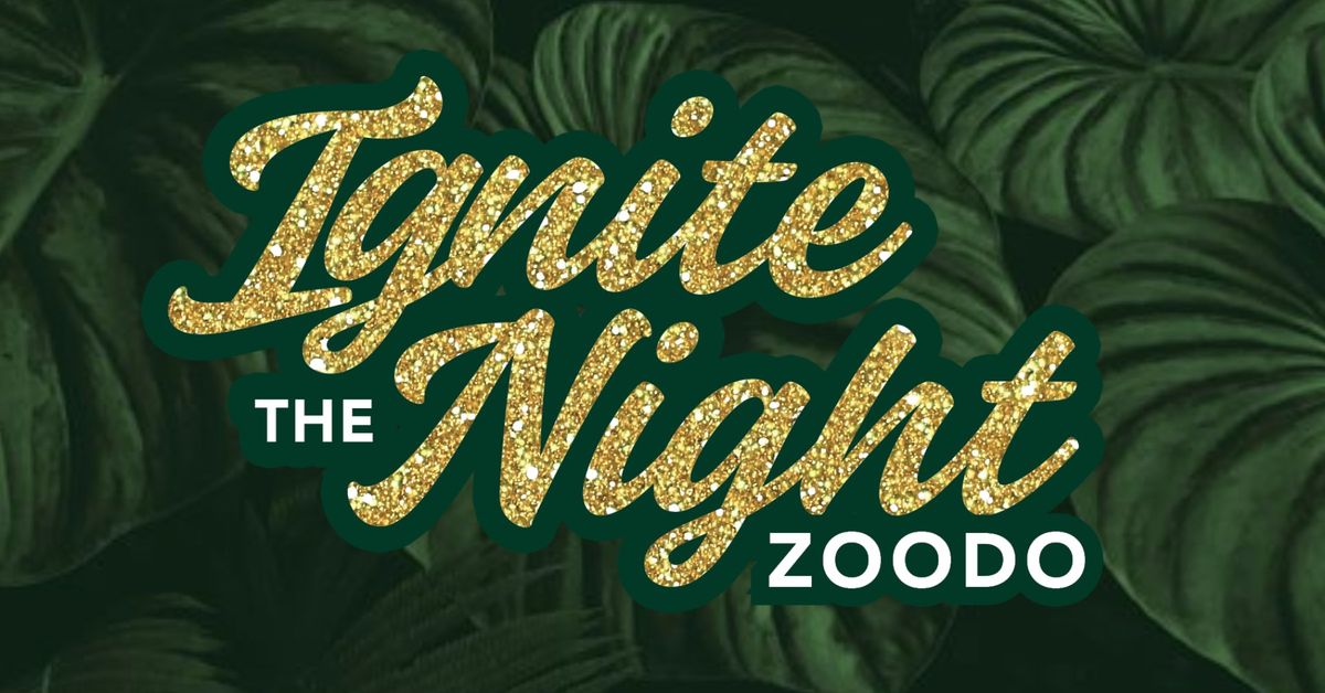 ZOODO Ignite the Night