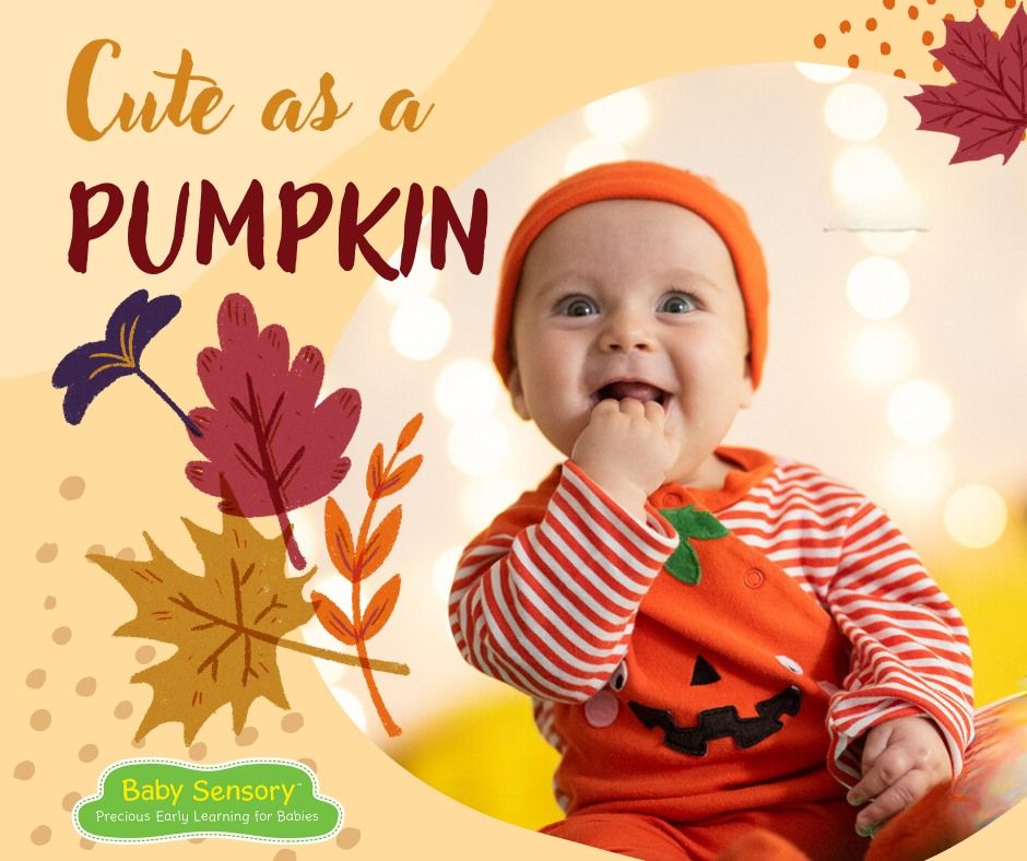 Baby Pumpkin Baby Sensory Special Event!