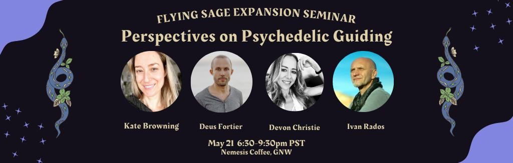 Expansion Seminar - Perspectives on Psychedelic Guiding