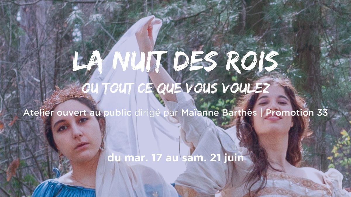 LA NUIT DES ROIS OU TOUT CE QUE VOUS VOULEZ (AOP)