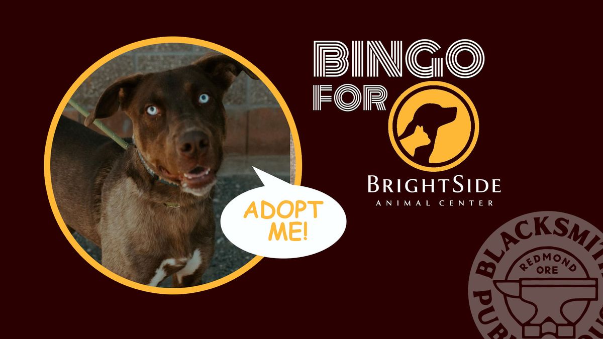 BINGO For Brightside at Blacksmith Public House