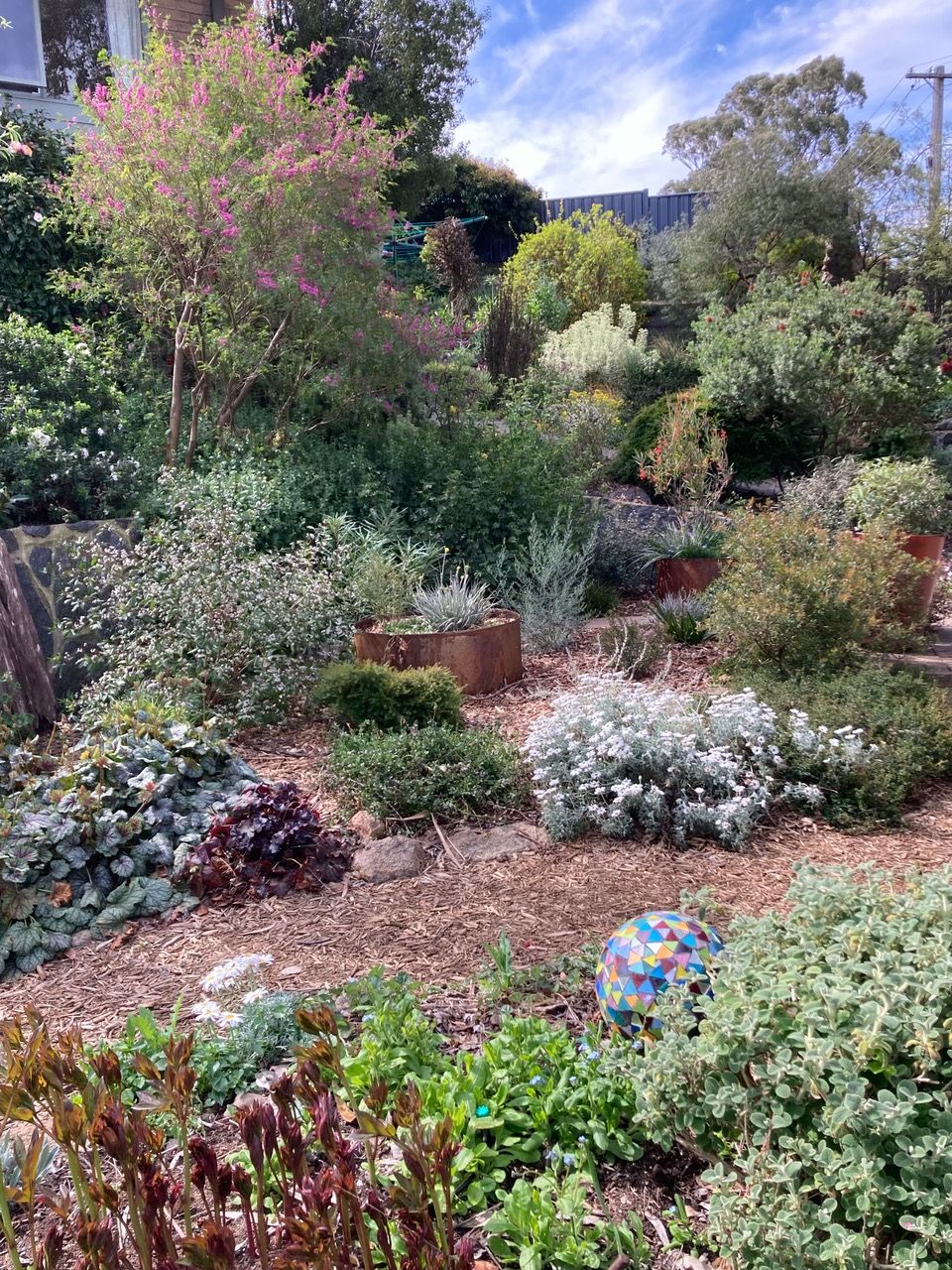 Explore 'Hillside' Garden in Wanniassa