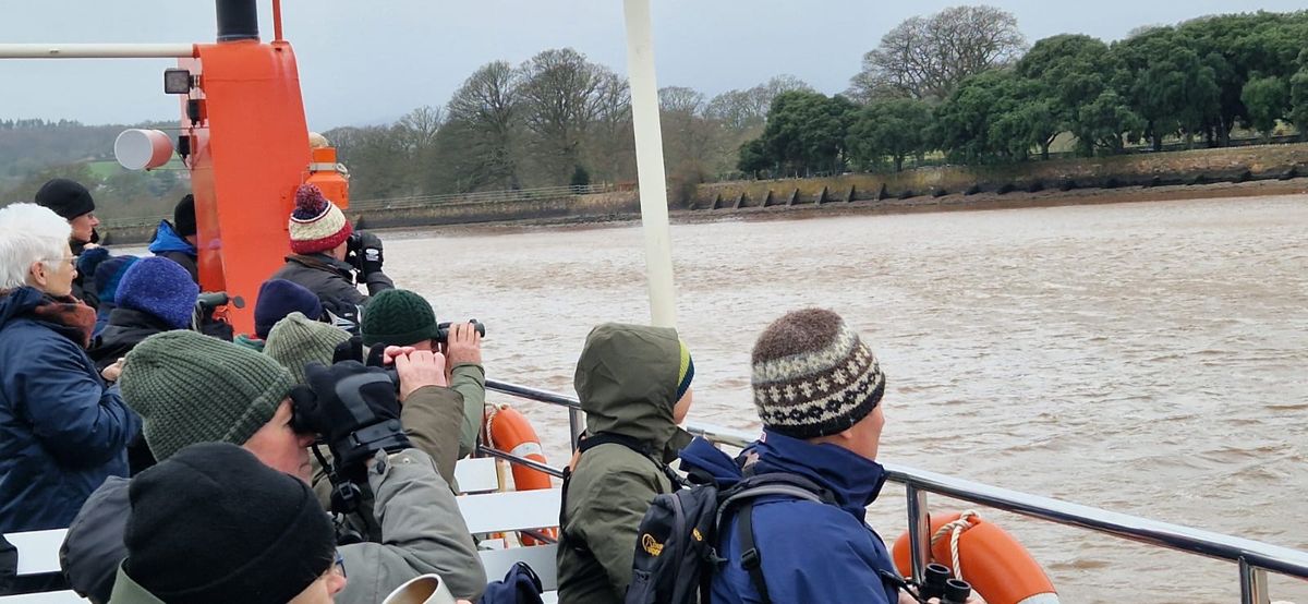 Exe Estuary Boat Trip