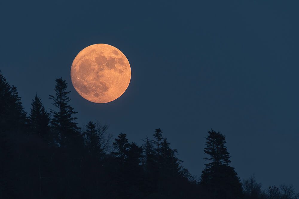 Full Moon Hike 