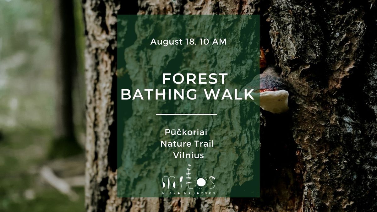 Forest Bathing Walk \/ Mi\u0161ko maudyn\u0117s