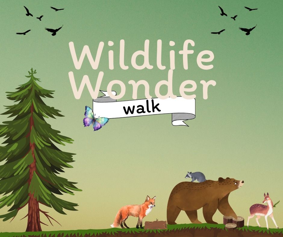 Wildlife Wonder Walk: Insect Investigation