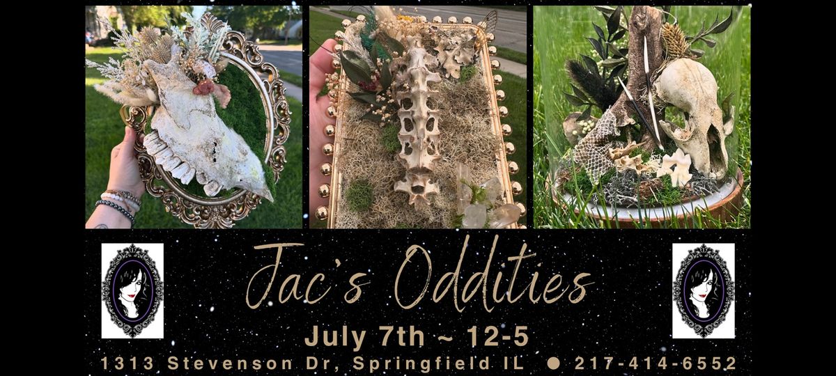 Sunday Spotlight with Jac's Oddities! 