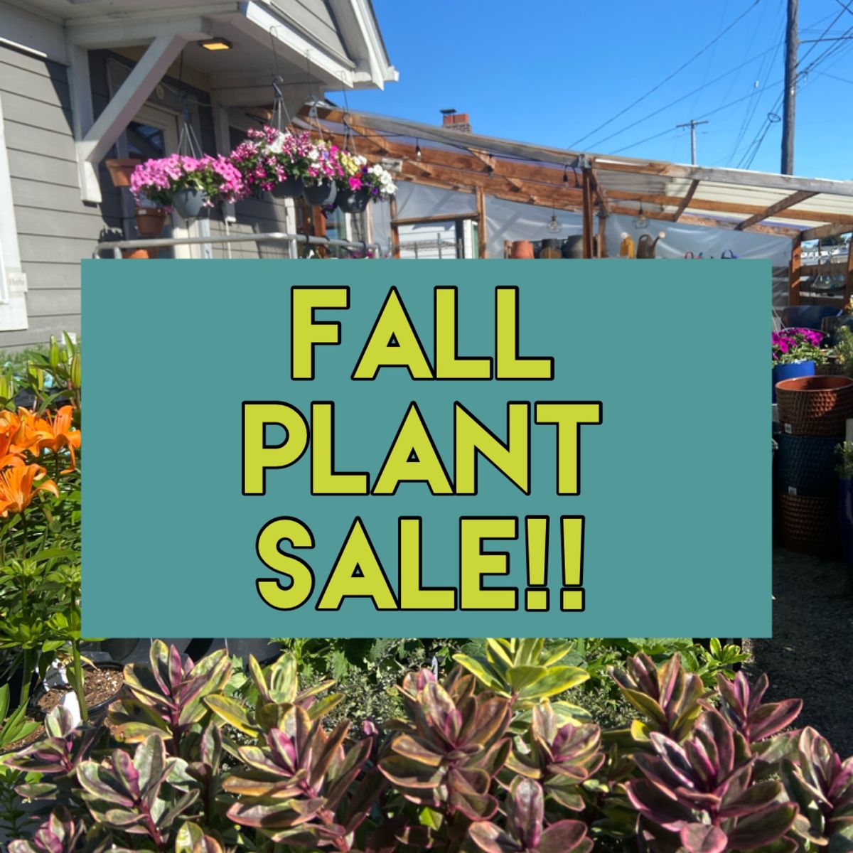 Fall Plant Sale