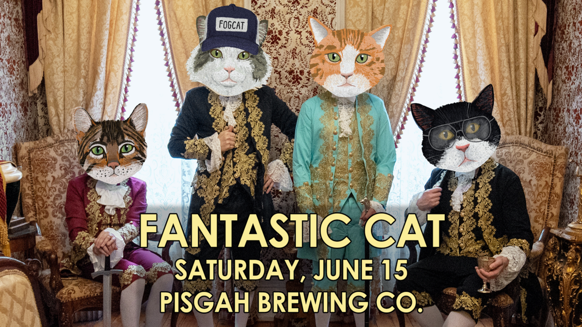 Fantastic Cat at Stone Pony