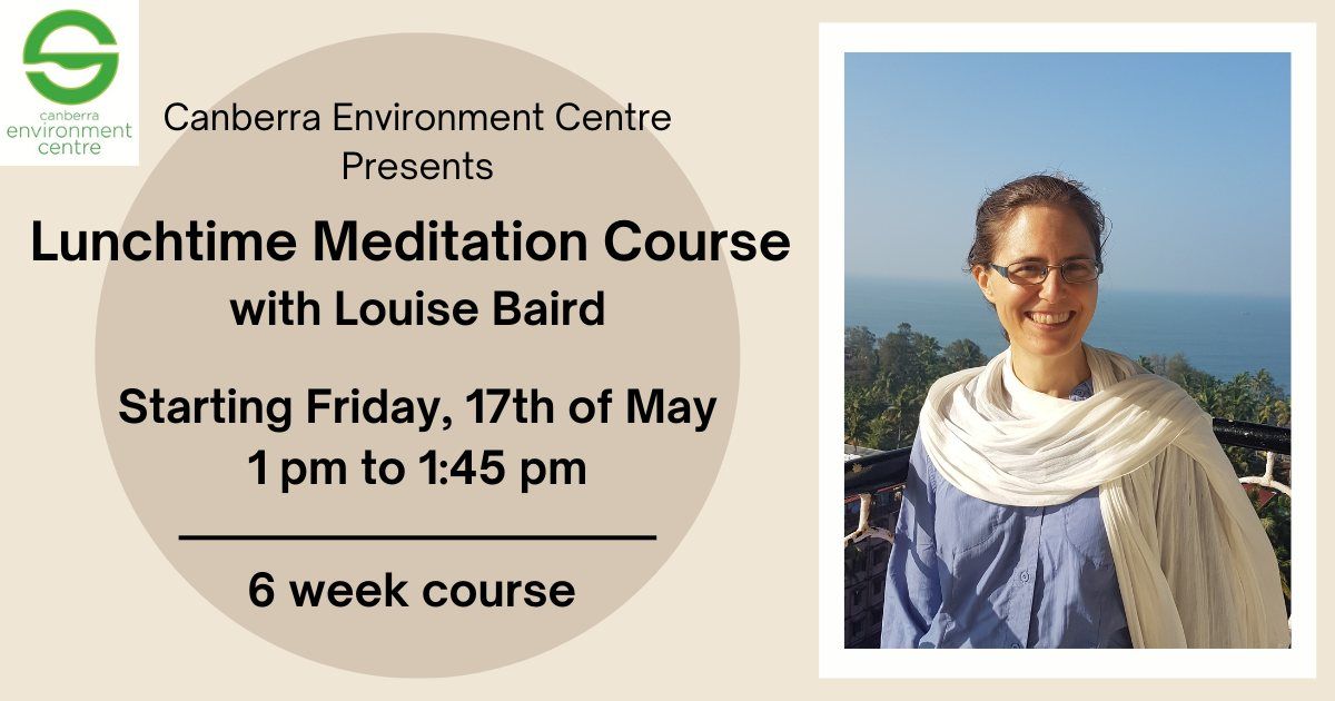 Lunchtime Meditation With Louise Baird - 6 Week Course