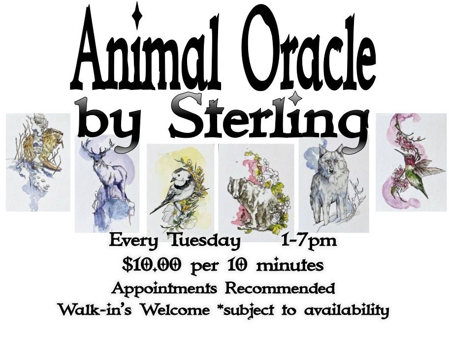 Animal Oracle by Sterling