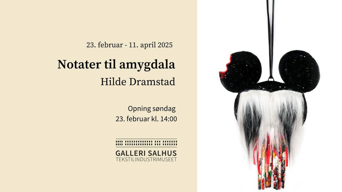 Notater til amygdala \/ Hilde Dramstad