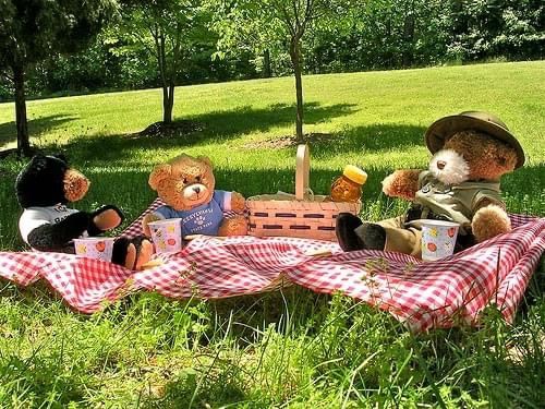 Teddy Bear Picnic