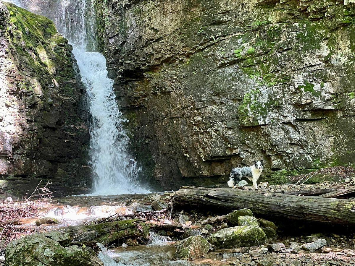 NOLI FREE Day Hike - Rock Creek Falls, Erwin, TN