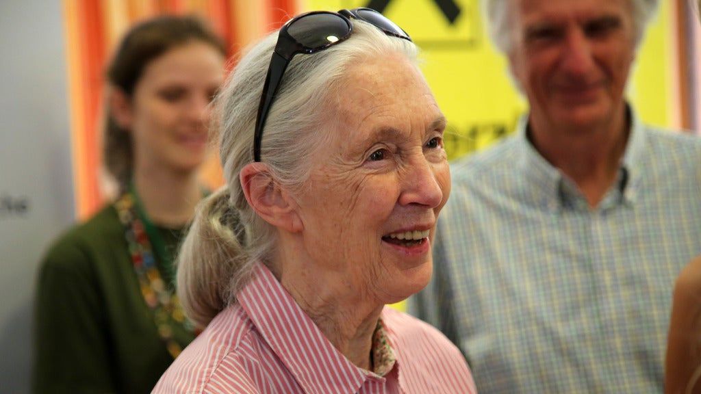 An Evening With Jane Goodall