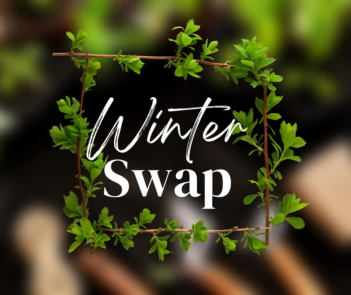 Winter Swap \u2603\ufe0f